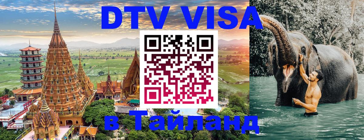 Оформление DTV визы под ключ: стоимость и тарифы, только загранпаспорт - Мурино  04.10.2025 